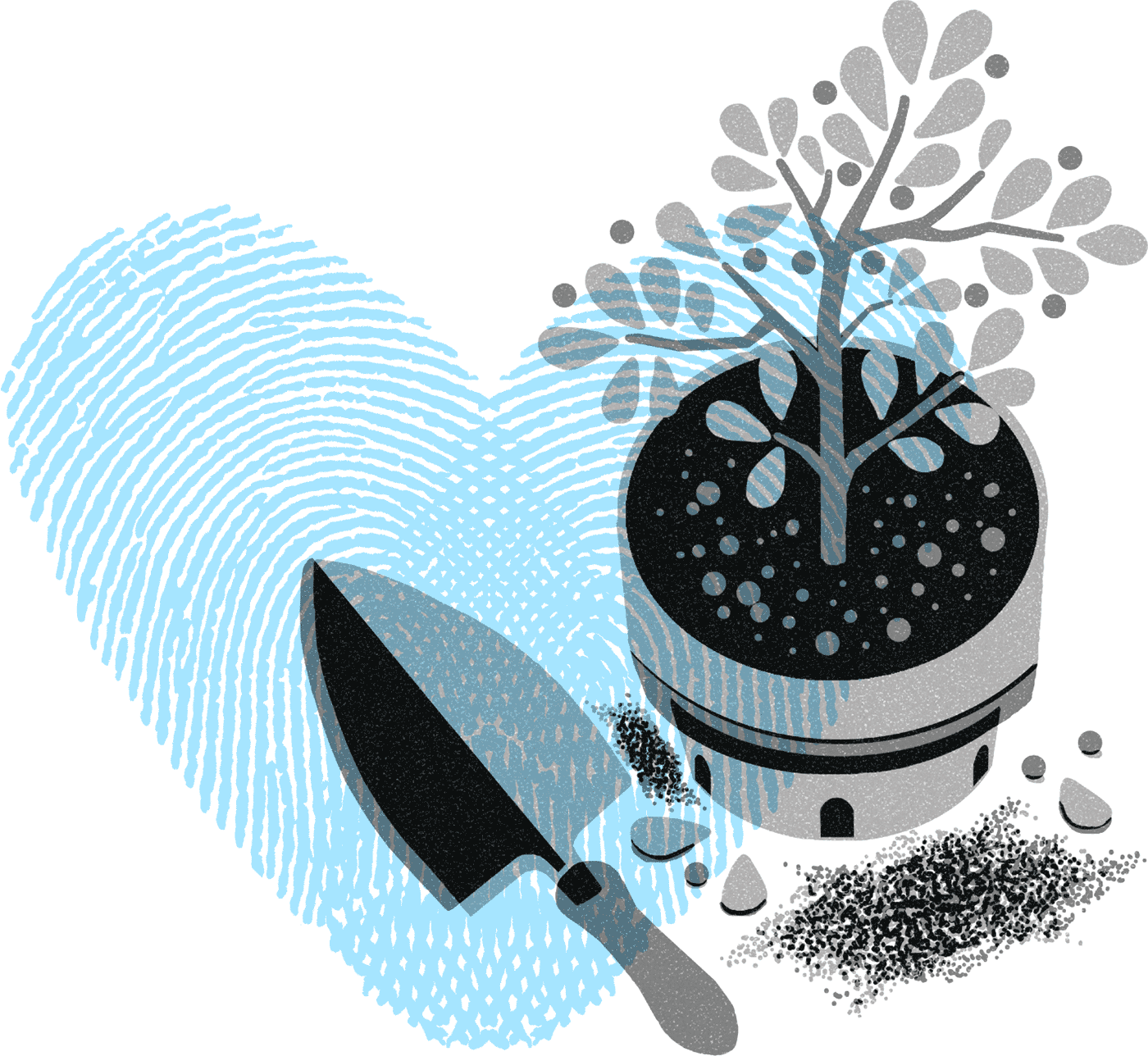 potted plant
